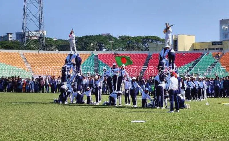 绿茵场上的青春旋律：校园休闲运动赛事策划与执行